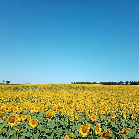 Lejlighed Blanzayaprtment 1bed Pool Bbq Wifi Freep Blanzay