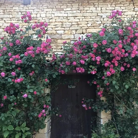 Blanzayaprtment 1bed Pool Bbq Wifi Freep דירה